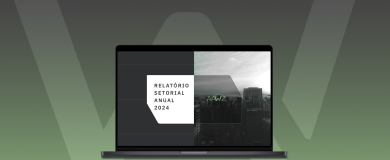 Relatório Setorial Anual 2024