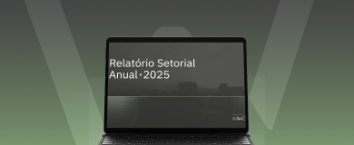 Relatório Setorial Anual 2025