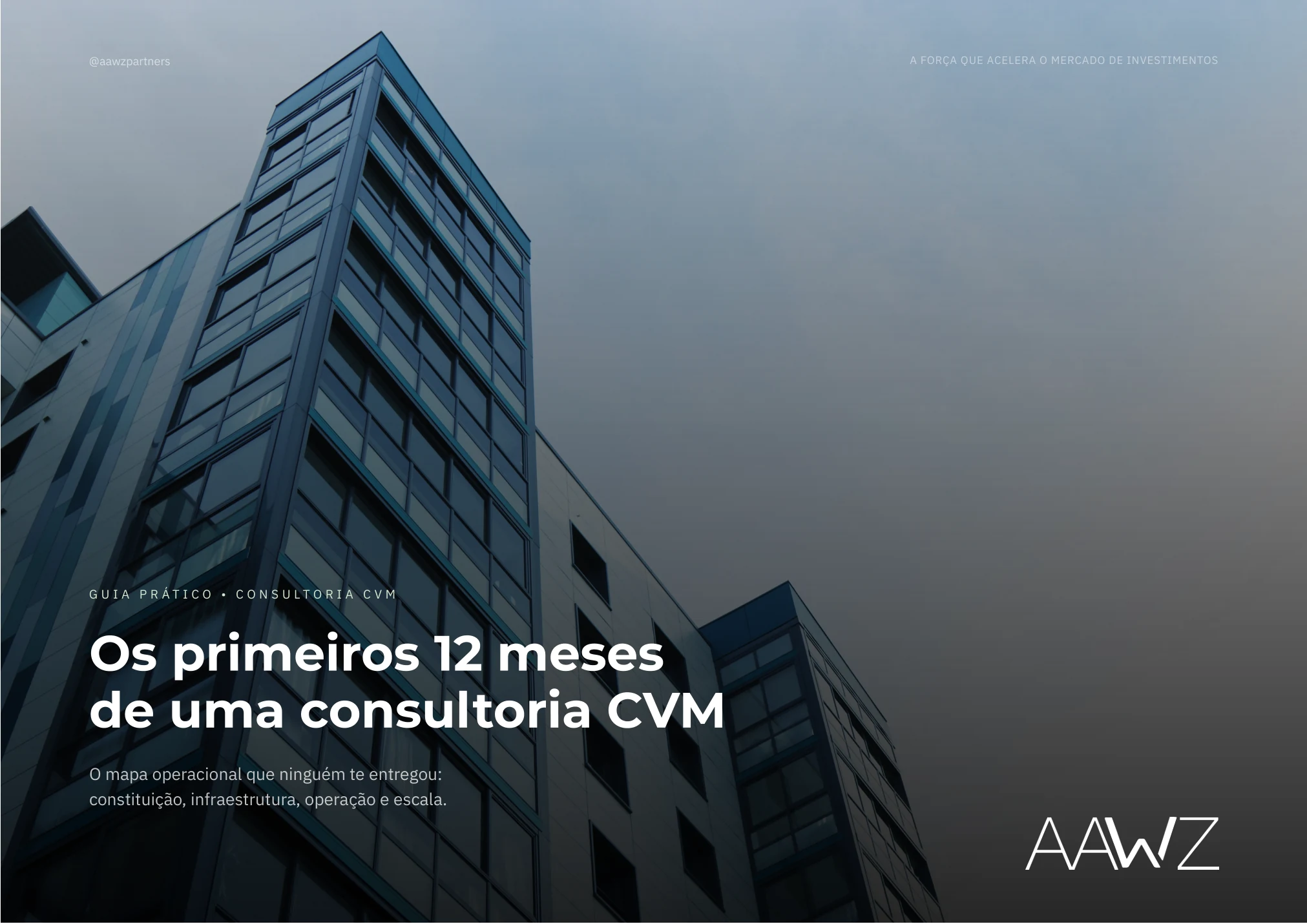 Guia Prático: Os primeiros 12 meses de uma consultoria CVM
