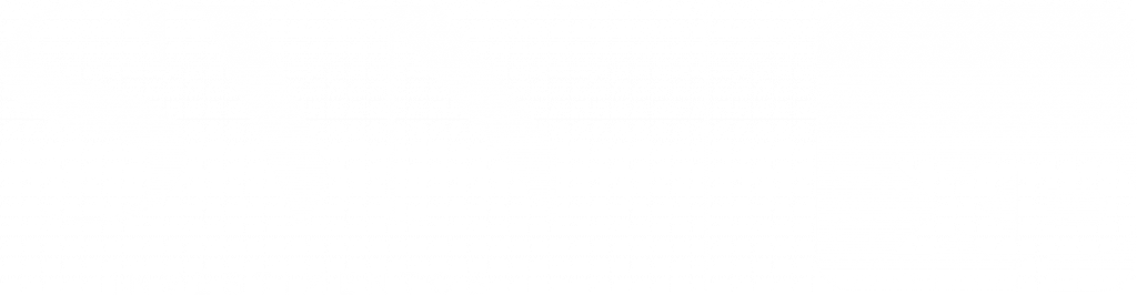 SVN Investimentos