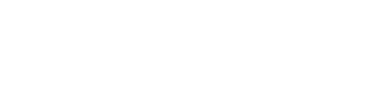 Zenit Invest
